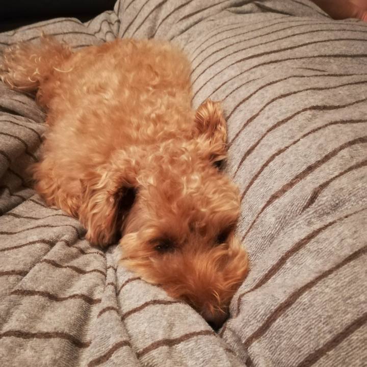 1fa52e5e 84e7 46af 9c05 09b34a6d831f 1535977974639