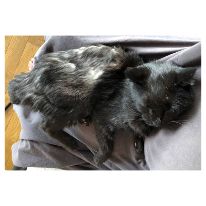 1fa585a4 eb10 46b9 8165 3ffe9b3f2053 1647063247798