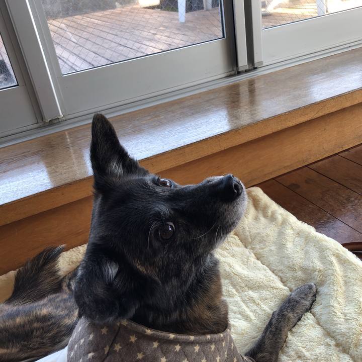 1fa5ada3 c281 40c8 901c c21a71d8cb9d 1609807710203