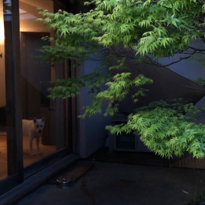 1fa5aed4 cb03 4d47 a20d b9e76e3007fc 1586254157053