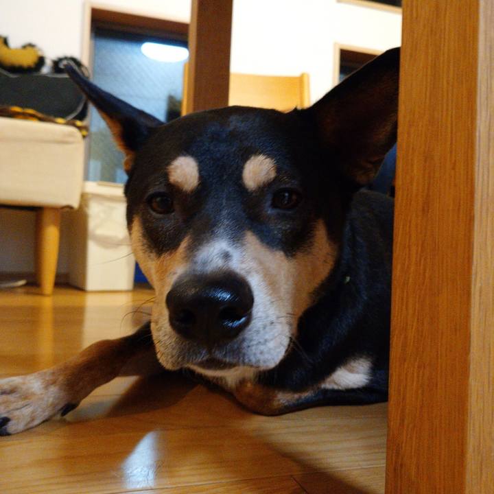 1fa5b4ab 2628 49b9 85d2 3554add528dc 1572861399514