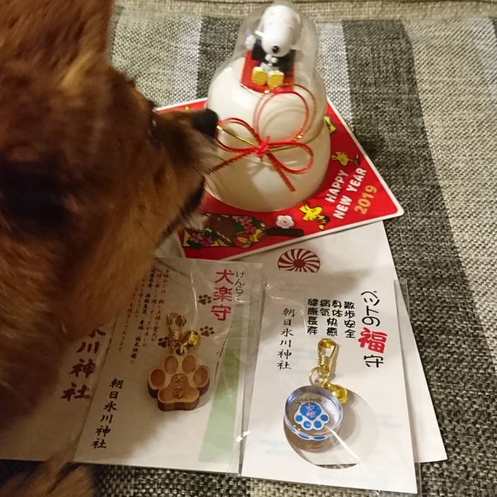 1fa5ffc4 2700 42e1 a053 a8934c858014 1545468670193