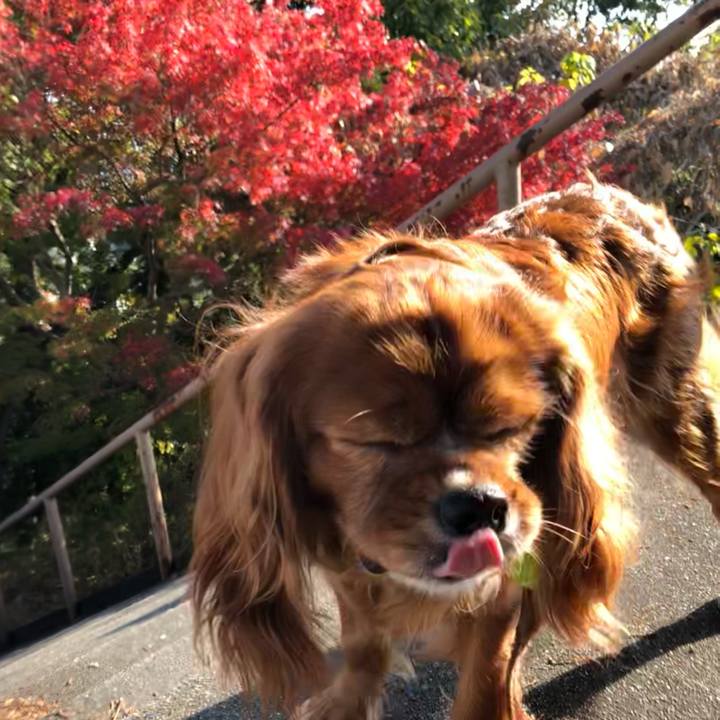 1fa6300d 3db4 47fa a7dd 81f1b5c65c21 1637368157704