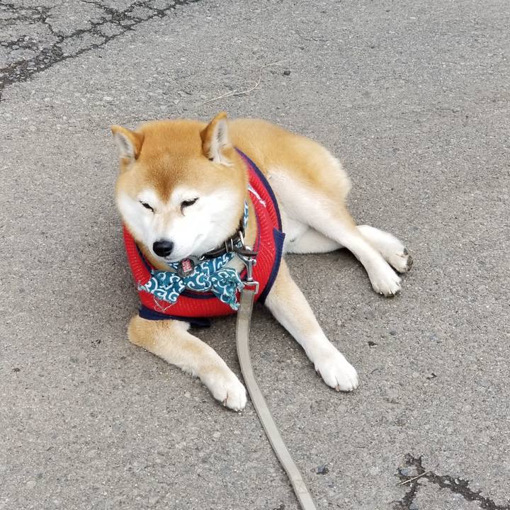 1fa657cb 1a53 4cb6 837f 39983fd68bce 1519962532199