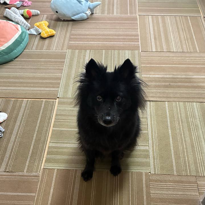 1fa6663b 92c2 4f9c 84f5 43810c36b938 1761869640745