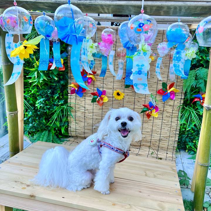 1fa6755a 4b7d 4e3b a20b 6439b39910b8 1658047637998