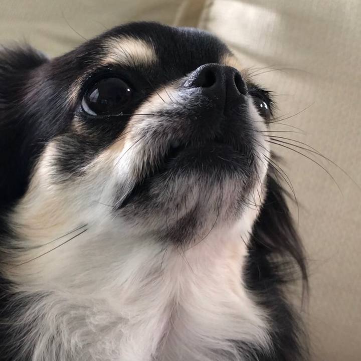 1fa68571 9e35 481d 9071 cc02e5cbb1fc 1591043270651