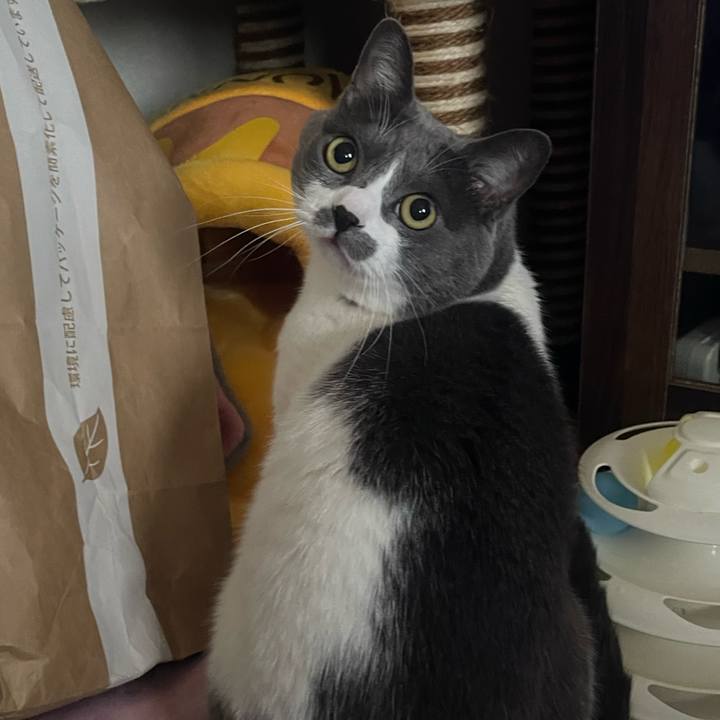 1fa6949c 42bc 473b a515 11b7324b14f6 1703312584058