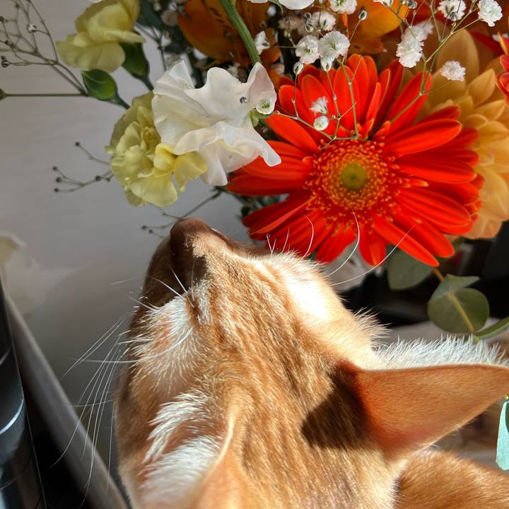 1fa69c6c 827f 4bc3 b638 3b3b4beb8de8 1642492987267