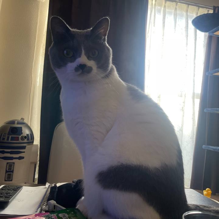 1fa6b78d 1fd5 4b74 8d5d f8c026802633 1707202970110