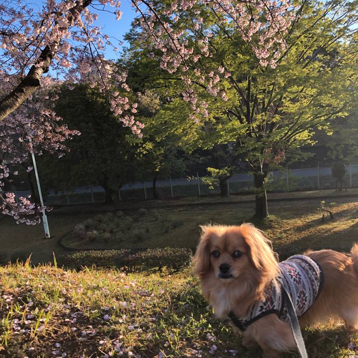 1fa6c1d2 a2fd 4134 af1c 7b24afe56ee1 1554933361543