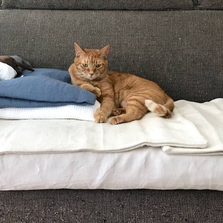 1fa6caeb f46b 4d63 9fe7 2a3785ae0169 1535604390309