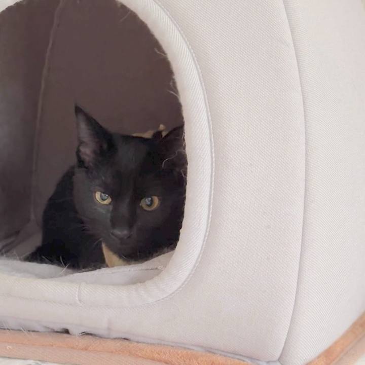 1fa6cdc4 17eb 436f 95f9 3d66ff3b841a 1728635922863