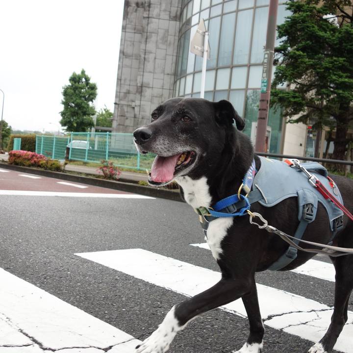 1fa6d1e7 158c 4b38 b265 65e97a921d3c 1717289486373