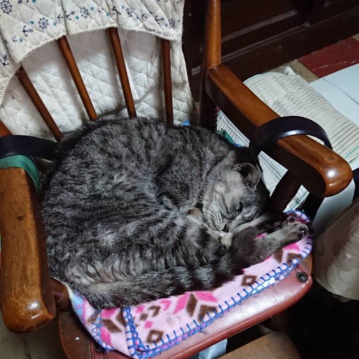 1fa6d7b8 3a0a 45f7 a3b4 4d3cc86da284 1579761365990