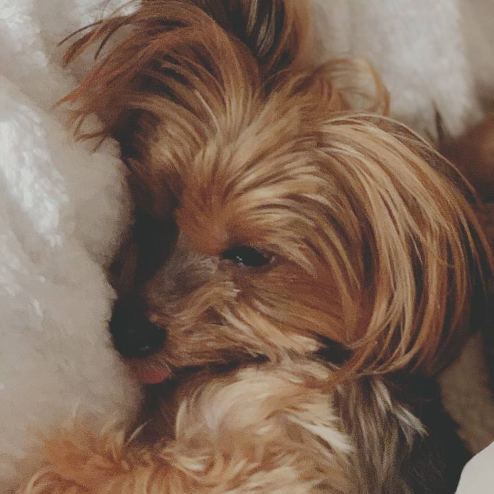 1fa6da0a e451 42d3 b1b5 93a6d131c790 1576876573631