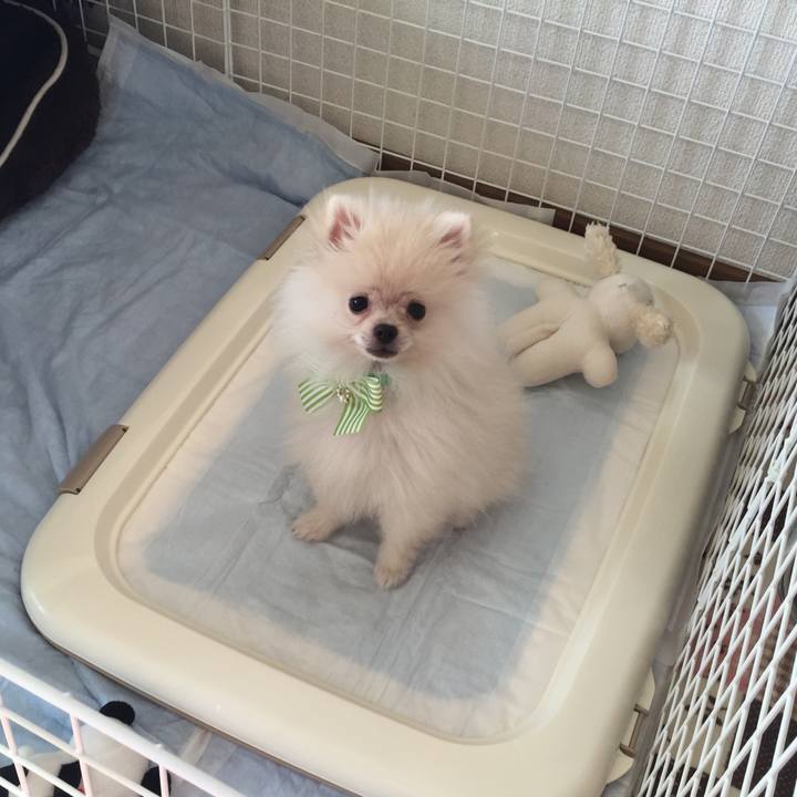 1fa70151 511c 4220 91a8 ec1c75cf75d1 1509965159112