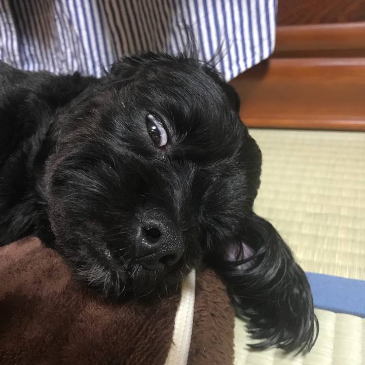 1fa710eb 587f 44b1 8aa5 da51239eaad5 1534240913912