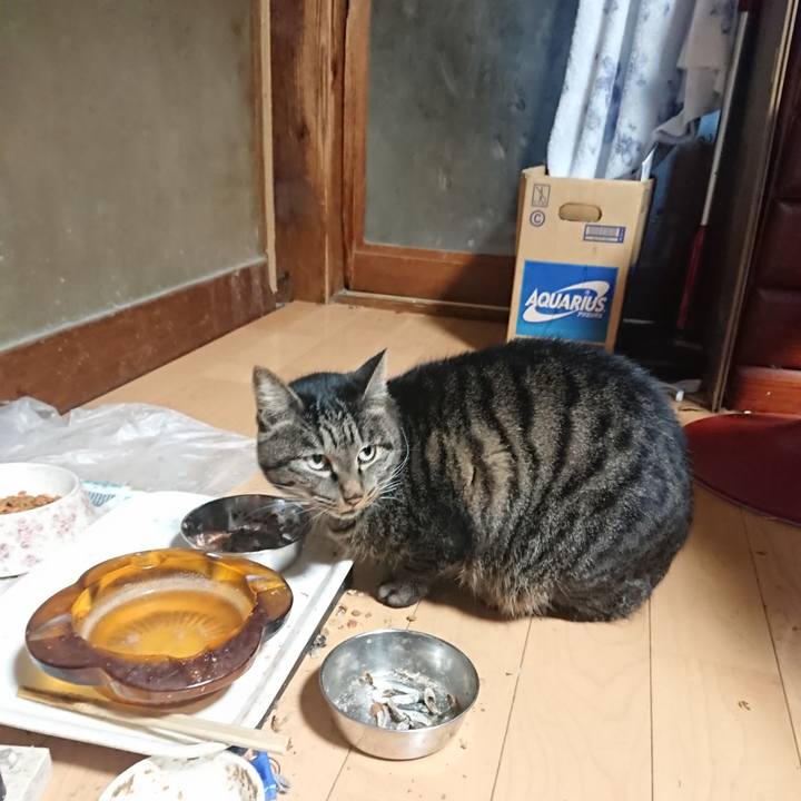 1fa7158e e371 4842 9a57 e04670c326a0 1636234968507