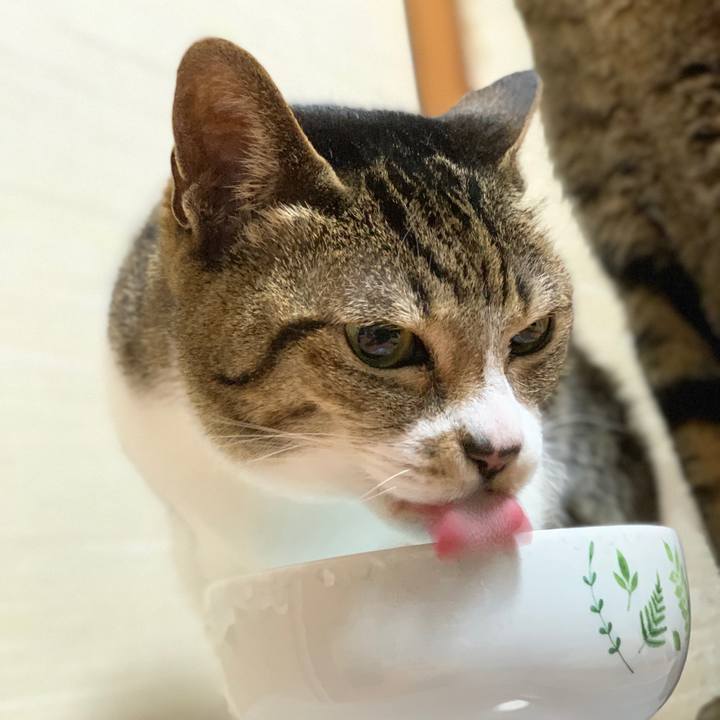 1fa75051 eedf 4d67 9a94 00e454bb25e6 1584062266239