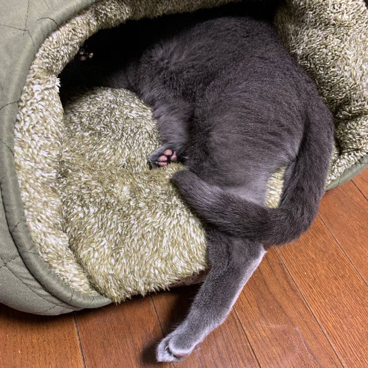 1fa769aa 287d 4a65 9fd9 40b14096a3d6 1571708375697