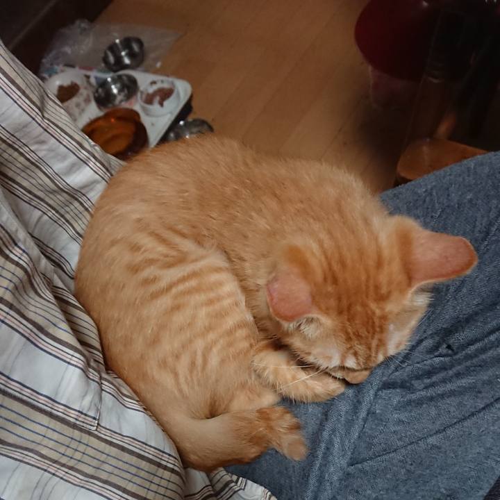 1fa7a27e deb2 45e7 8570 b65c14a3ea69 1632002686125