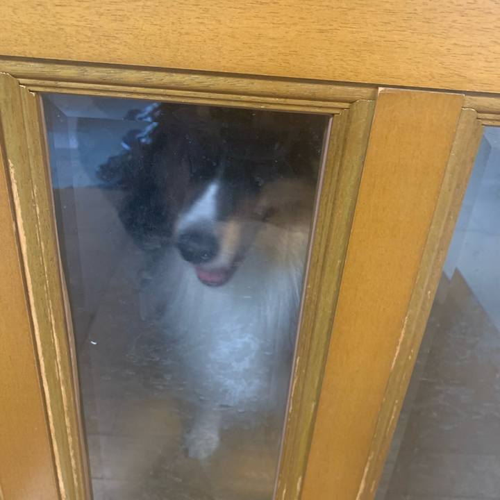 1fa7b47d 879b 4f3a 8777 1e423db9a203 1607465239352