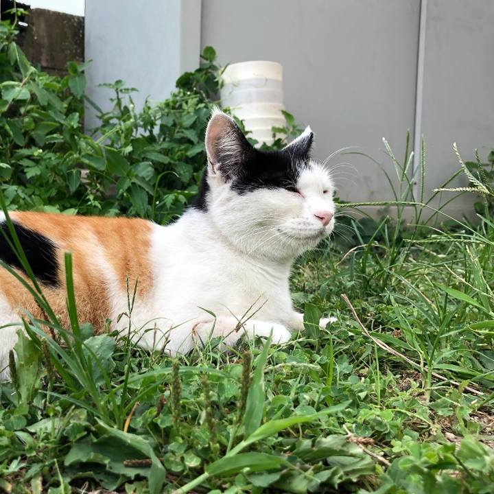 1fa7e03f e79d 42e4 a18e 884afc2b1888 1599126692215