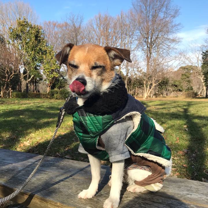 1fa7f4a0 0280 47f8 9aa3 05119ee2aa63 1546744509357