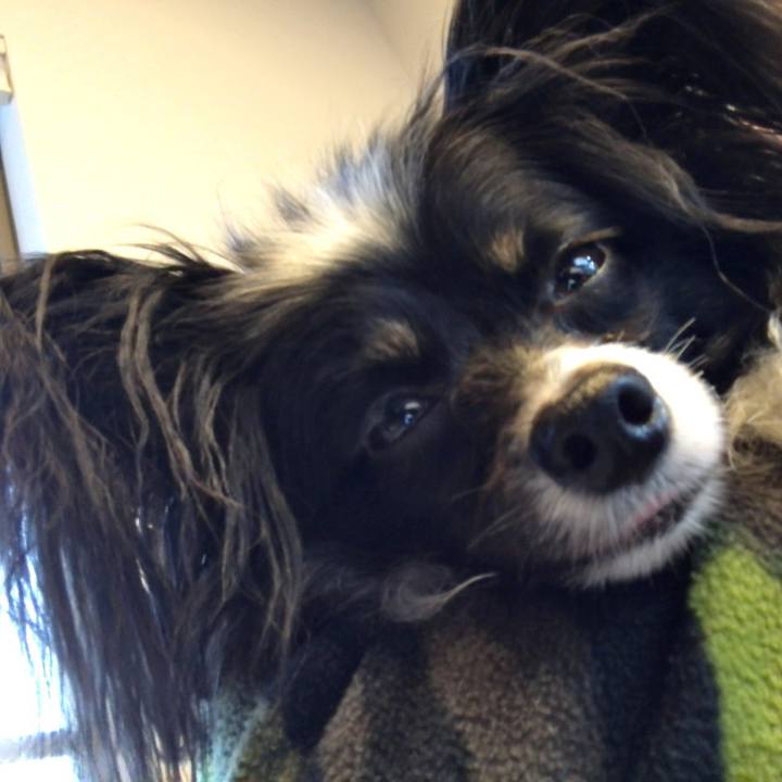 1fa800c7 c531 4fb2 ba34 78f8e994d98c 1551948453532