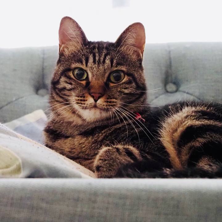 1fa804f8 06ef 4505 8a70 5a5638324df5 1601172550990