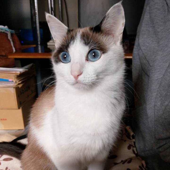 1fa81e4b 1606 4ba6 9858 27b17d798bc0 1577495524270