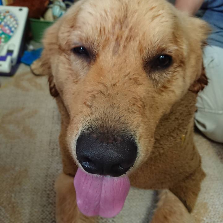 1fa84140 6163 4f73 8855 4cc8a90c677d 1564995633983