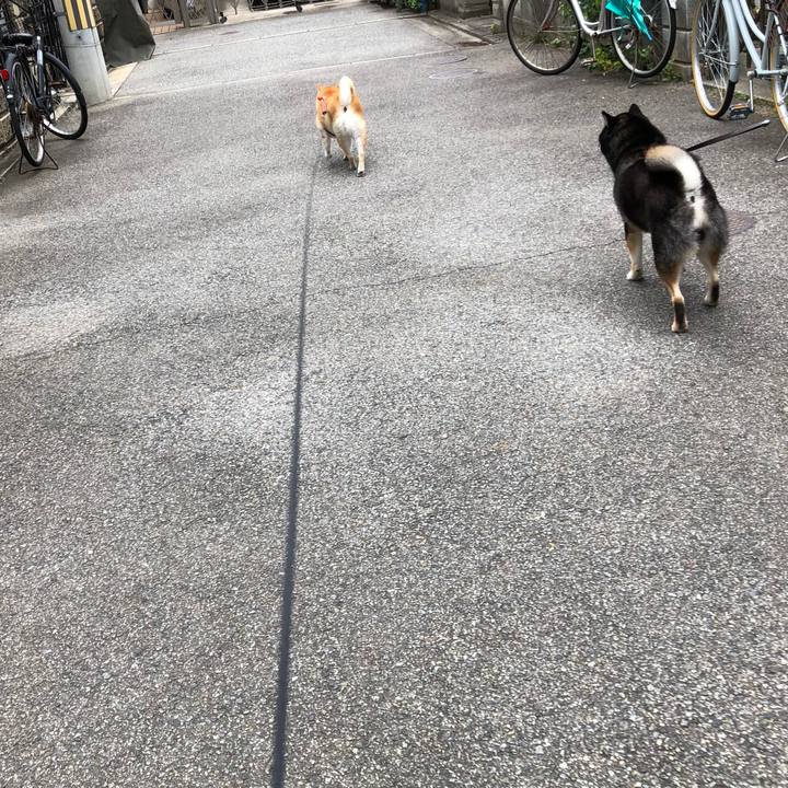 1fa85119 de40 40a0 9a38 df8973e648ce 1605266673319