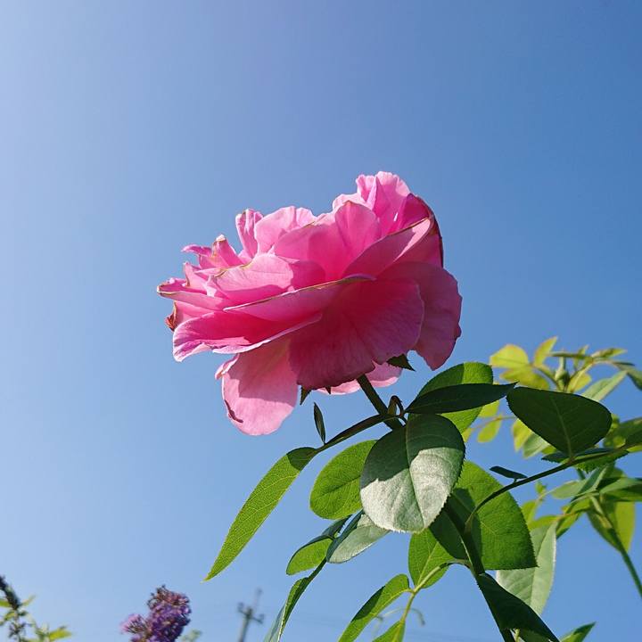 1fa8512a ae23 40c0 ac36 854b35aea1fe 1597707284362