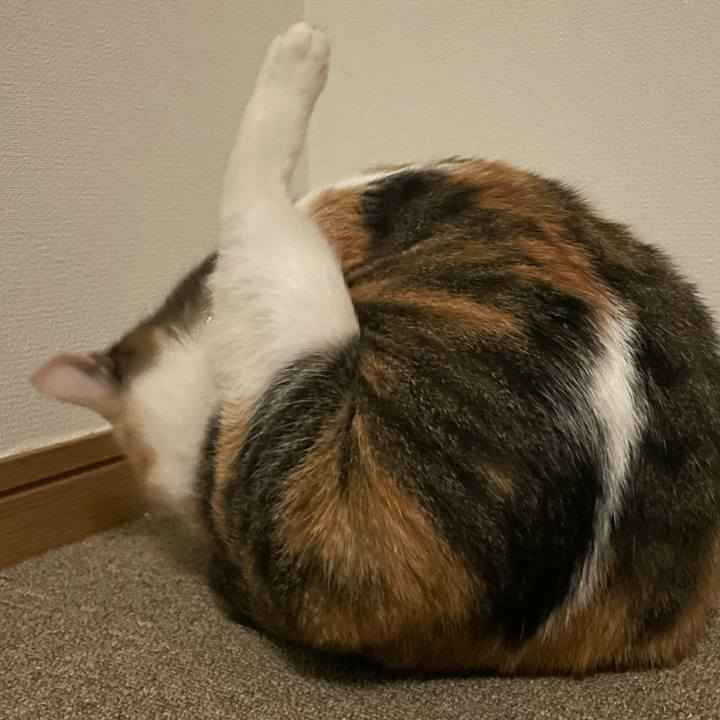 1fa852b3 c3e6 483c a5f5 59bbf51d31cd 1734732414297