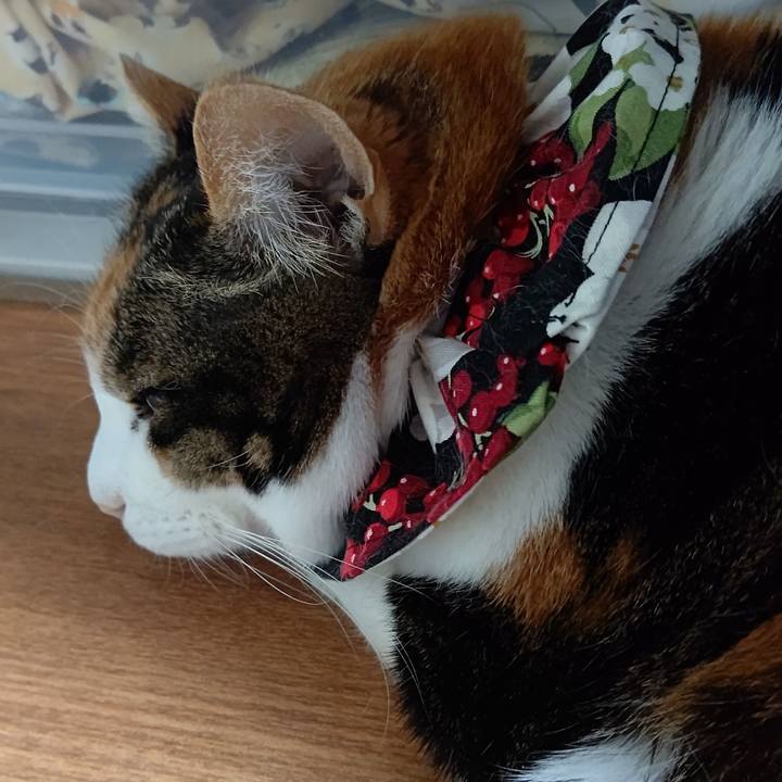 1fa8606c f8f1 4b81 9693 591ef835d066 1646775605152