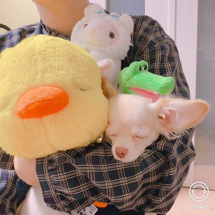 1fa884af 4924 475e 94a3 ab80a81c1161 1599983501521