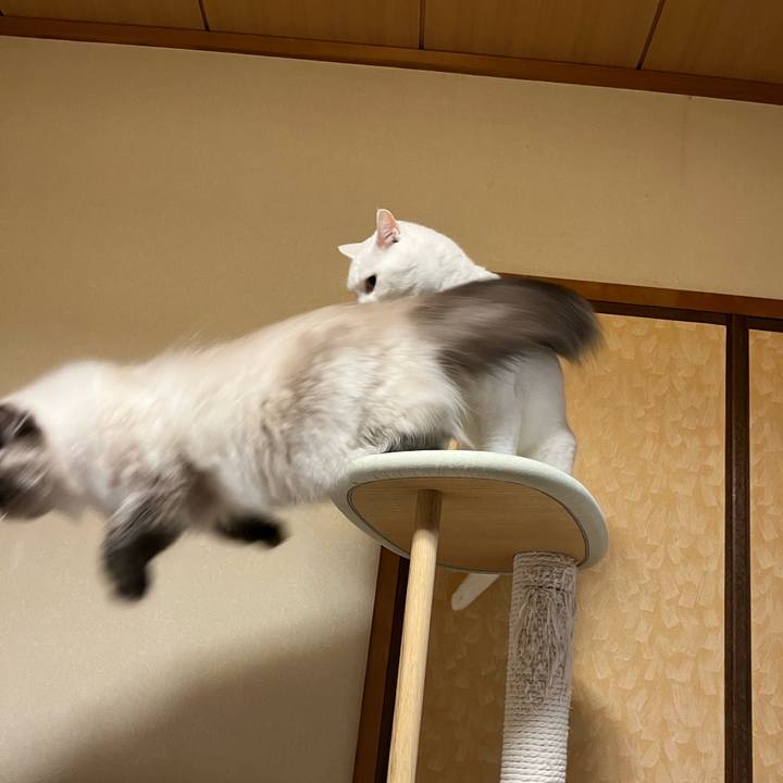 1fa8a678 057b 46c2 a8e1 da7999f1f8d9 1729691370118