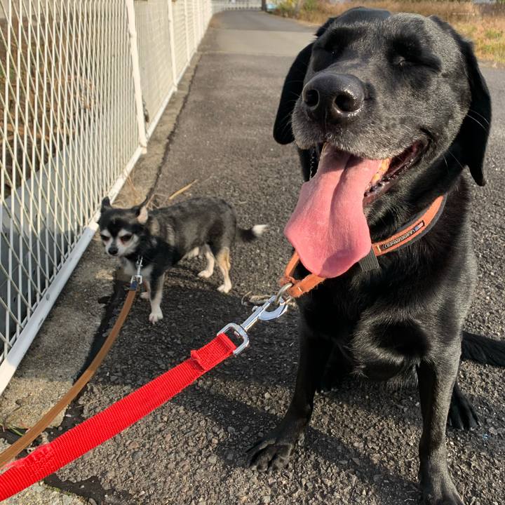 1fa8fb5b 748a 409e 83af 22ed9642570b 1670744840645