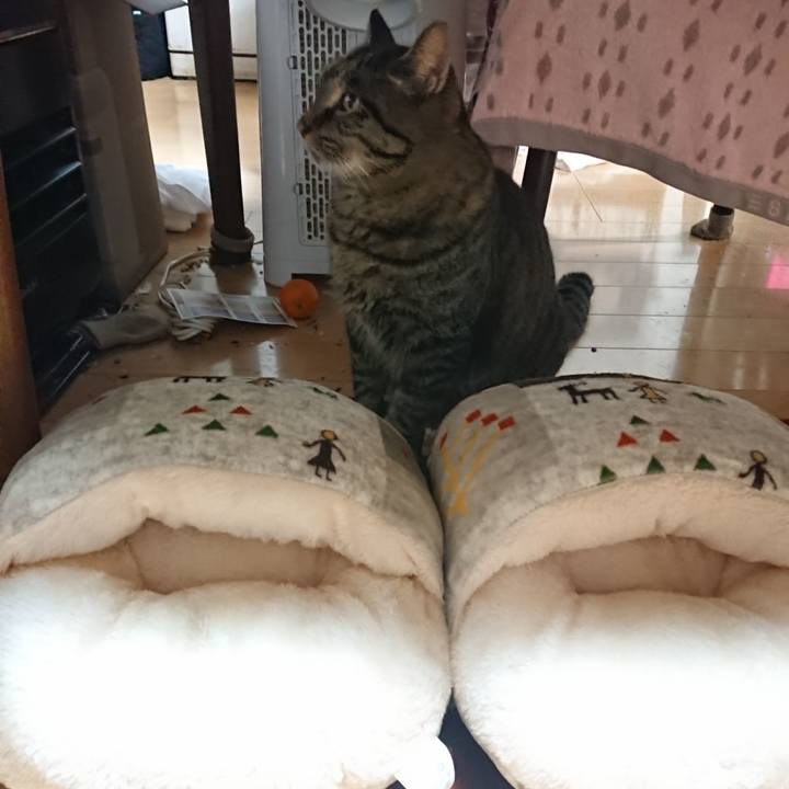 1fa9032a 14a4 4ce6 8d7d 06cddeb511ca 1639826438304