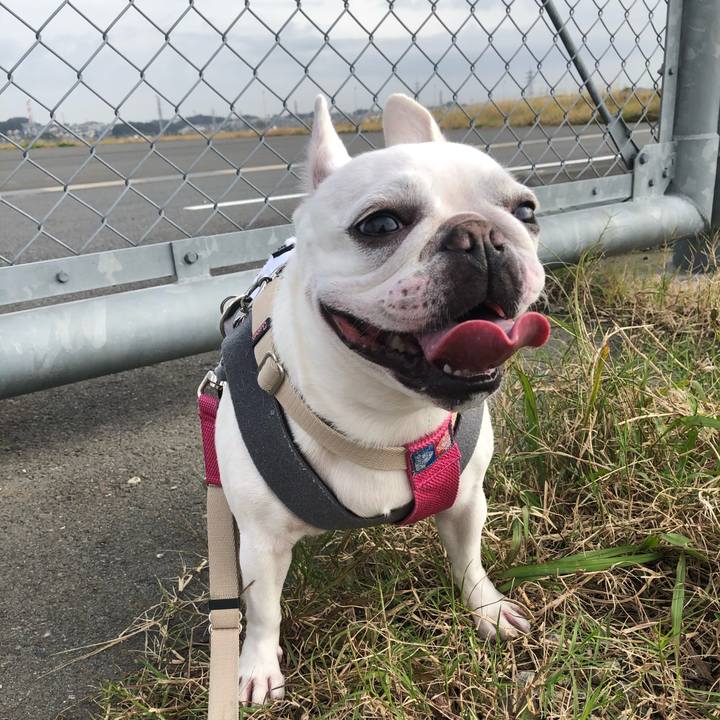 1fa92475 3b8d 4e4a b9d7 64f2129bf51d 1572755629558