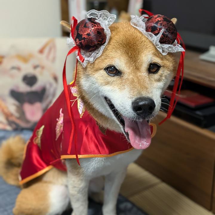 1fa955fd dcb6 464c 8d0a 347e2f5703c5 1724574560889