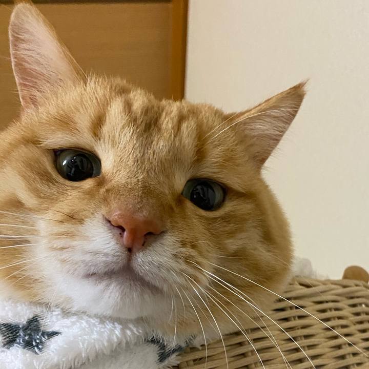 1fa95830 cd52 4422 80df 0e5bf5b18e16 1607385816847