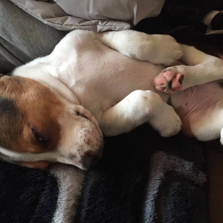 1fa9587c 6f91 4ca0 846c 75e5e60a6922 1513560298173