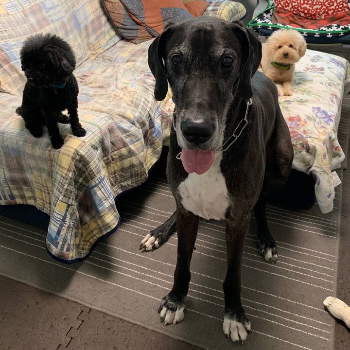 1fa95efa 8e4b 40f0 994c ce3a19ef1039 1561674366650