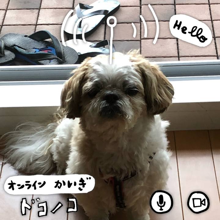 1fa97b31 8440 4d60 8cba 63c3605b82d3 1590842424872