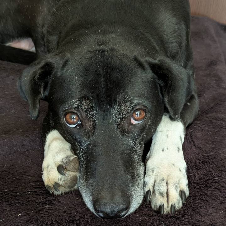 1fa98a21 ba61 47a5 956a 60dc720bfb3c 1737859259891