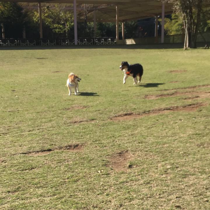 1fa98fba 1b5f 4a42 b7a7 4bf67492e74c 1542340609915