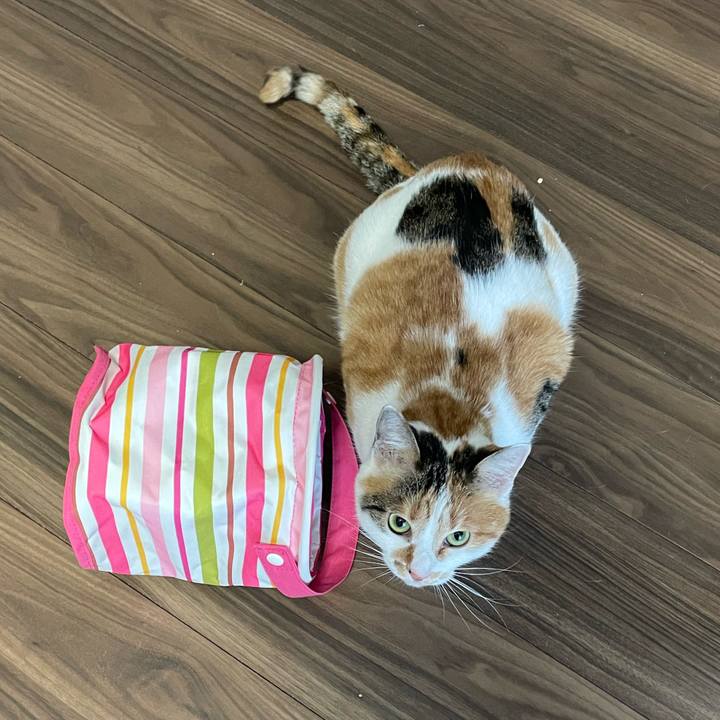 1fa9bccc 1969 43eb bf17 a7e231567112 1642116836775